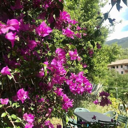 La Casa Novella, A 450 Metri Dal Mare Appartement Moneglia Buitenkant foto
